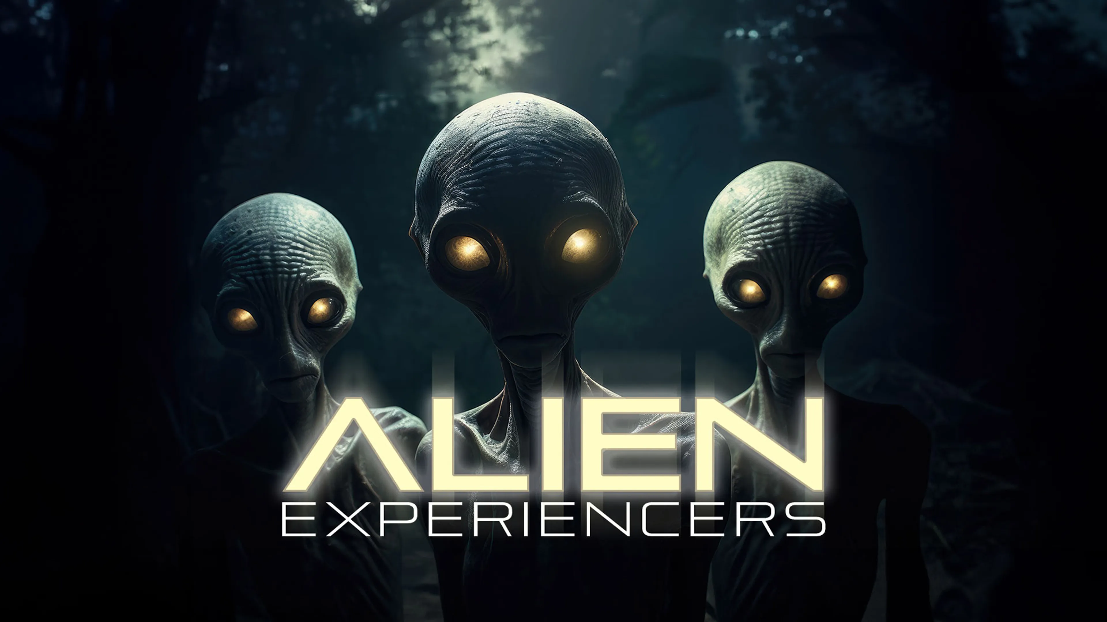 Alien Experiencers poster